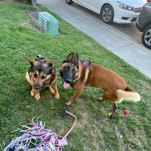 Meet your Posher, Sam